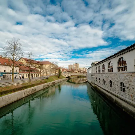 Bridget's Ljubljana